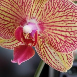 Meet your Posher, Mariah